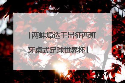 两蚌埠选手出征西班牙桌式足球世界杯