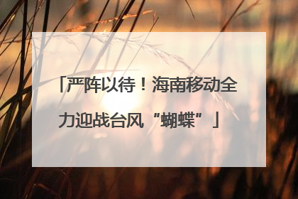 严阵以待！海南移动全力迎战台风“蝴蝶”