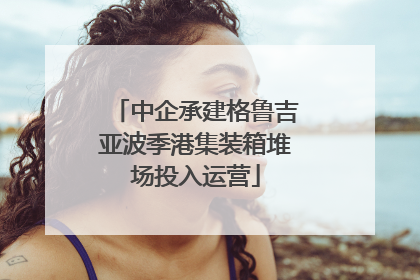 中企承建格鲁吉亚波季港集装箱堆场投入运营