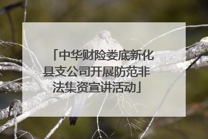 中华财险娄底新化县支公司开展防范非法集资宣讲活动
