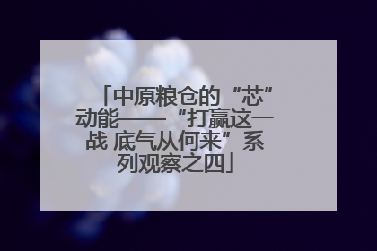 中原粮仓的“芯”动能——“打赢这一战 底气从何来”系列观察之四