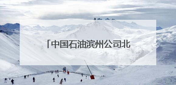 中国石油滨州公司北海党支部开展“热血传爱”公益献血活动