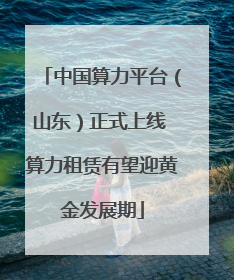 中国算力平台（山东）正式上线 算力租赁有望迎黄金发展期