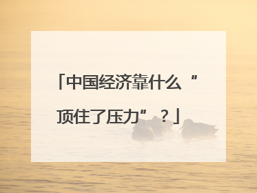 中国经济靠什么“顶住了压力”？
