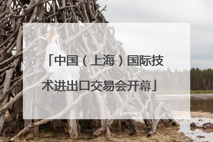 中国（上海）国际技术进出口交易会开幕