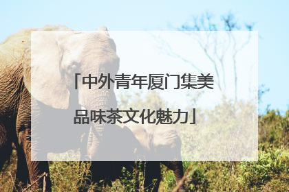 中外青年厦门集美品味茶文化魅力