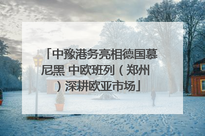 中豫港务亮相德国慕尼黑 中欧班列（郑州）深耕欧亚市场