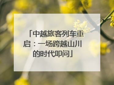 中越旅客列车重启：一场跨越山川的时代叩问