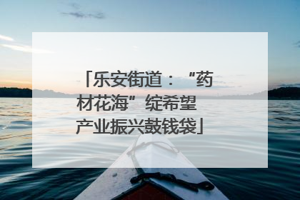 乐安街道：“药材花海”绽希望 产业振兴鼓钱袋