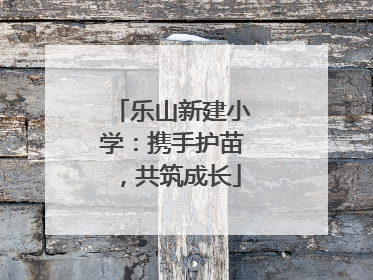 乐山新建小学：携手护苗，共筑成长