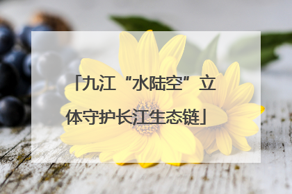 九江“水陆空”立体守护长江生态链