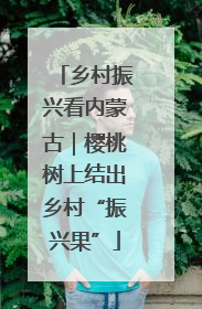 乡村振兴看内蒙古｜樱桃树上结出乡村“振兴果”