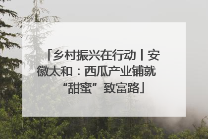 乡村振兴在行动丨安徽太和：西瓜产业铺就“甜蜜”致富路