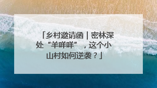 乡村邀请函｜密林深处“羊咩咩”，这个小山村如何逆袭？