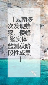 云南多次发现蜂猴、倭蜂猴实体 监测获阶段性成果