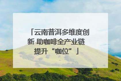 云南普洱多维度创新 助咖啡全产业链提升“咖位”