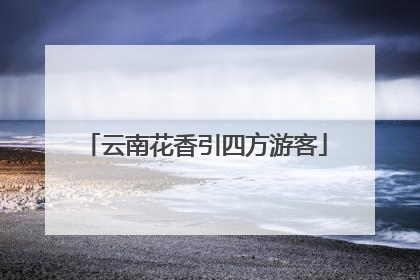 云南花香引四方游客