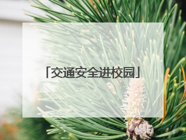 交通安全进校园