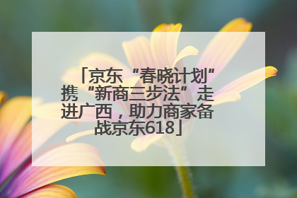 京东“春晓计划”携“新商三步法”走进广西，助力商家备战京东618