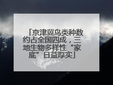 京津冀鸟类种数约占全国四成，三地生物多样性“家底”日益厚实