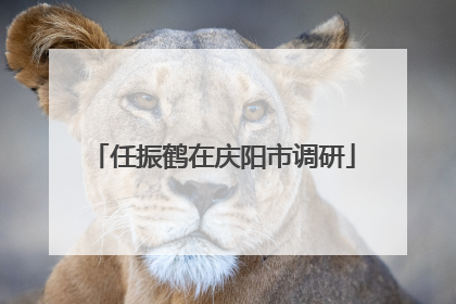 任振鹤在庆阳市调研