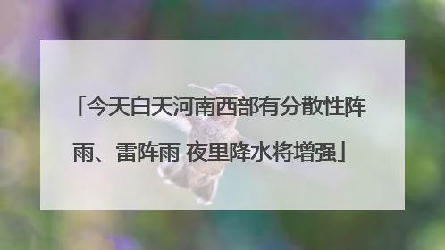 今天白天河南西部有分散性阵雨、雷阵雨 夜里降水将增强