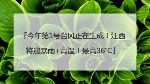 今年第1号台风正在生成！江西将迎暴雨+高温！最高36℃