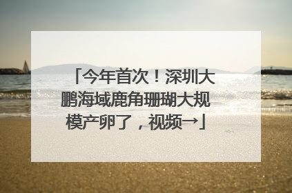 今年首次！深圳大鹏海域鹿角珊瑚大规模产卵了，视频→