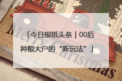 今日报纸头条｜00后种粮大户的“新玩法”