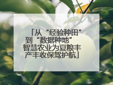 从“经验种田”到“数据种地” 智慧农业为夏粮丰产丰收保驾护航