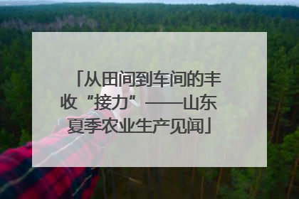 从田间到车间的丰收“接力”——山东夏季农业生产见闻