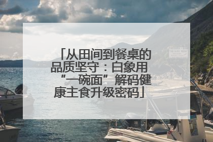 从田间到餐桌的品质坚守：白象用“一碗面”解码健康主食升级密码