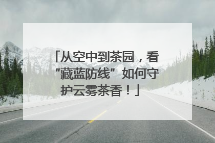 从空中到茶园，看“藏蓝防线”如何守护云雾茶香！