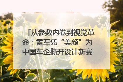 从参数内卷到视觉革命：雷军凭“美颜”为中国车企撕开设计新赛道｜封面车评