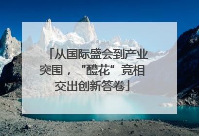 从国际盛会到产业突围，“醴花”竞相交出创新答卷