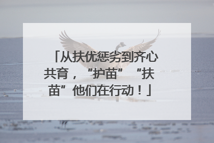 从扶优惩劣到齐心共育，“护苗”“扶苗”他们在行动！