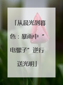 从晨光到暮色：暴雨中“电骡子”逆行送光明