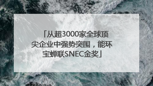 从超3000家全球顶尖企业中强势突围，能环宝蝉联SNEC金奖