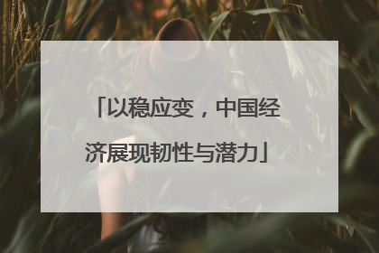 以稳应变，中国经济展现韧性与潜力