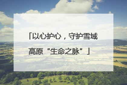 以心护心，守护雪域高原“生命之脉”