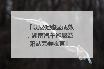 以展促购显成效，湖南汽车巡展益阳站完美收官