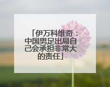 伊万科维奇：中国男足出局自己会承担非常大的责任