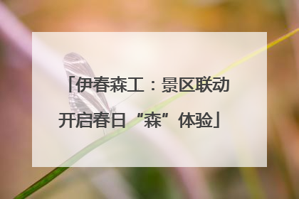 伊春森工：景区联动开启春日“森”体验