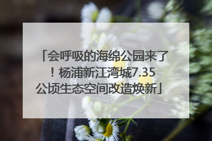 会呼吸的海绵公园来了！杨浦新江湾城7.35公顷生态空间改造焕新