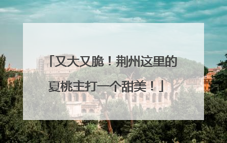 又大又脆！荆州这里的夏桃主打一个甜美！