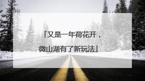 又是一年荷花开，微山湖有了新玩法
