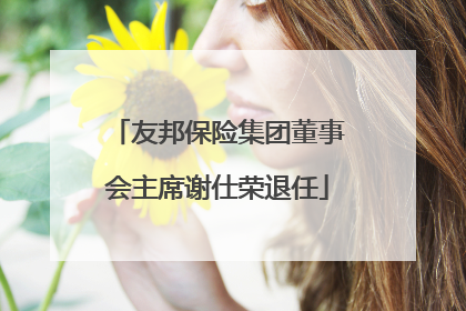 友邦保险集团董事会主席谢仕荣退任