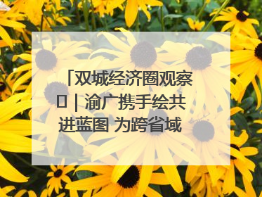 双城经济圈观察㊺｜渝广携手绘共进蓝图 为跨省域都市圈发展破题