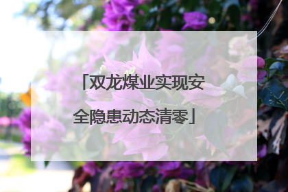 双龙煤业实现安全隐患动态清零