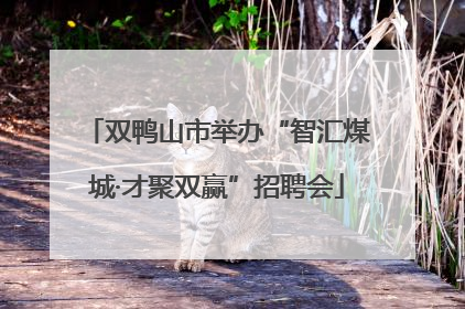 双鸭山市举办“智汇煤城·才聚双赢”招聘会